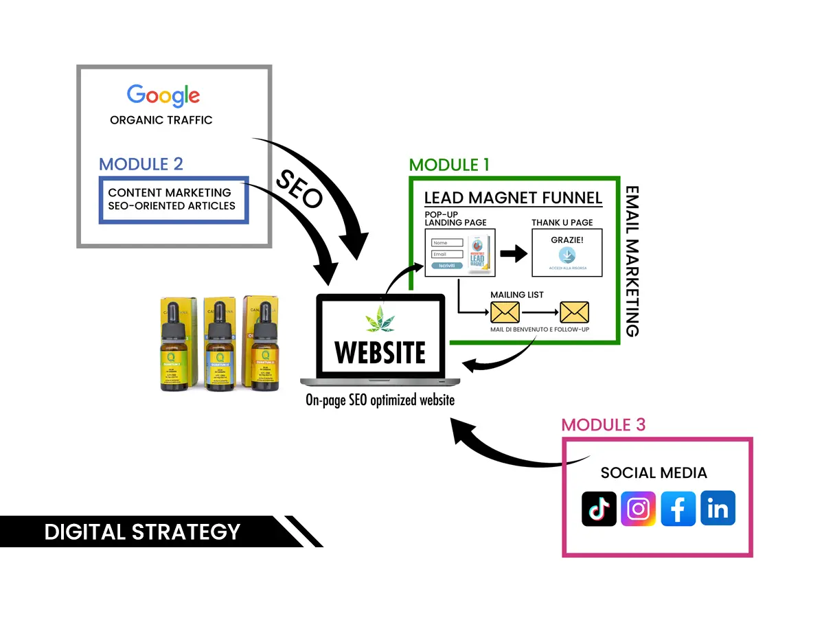 Strategia